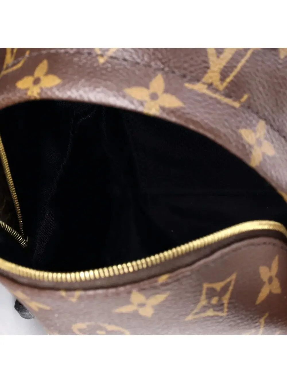Louis Vuitton Palm Springs Backpack #244290L23B